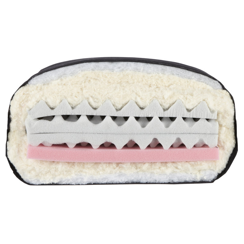 Arsuite Dishon Latex Futon Mattress FutonMattress & Reviews Wayfair